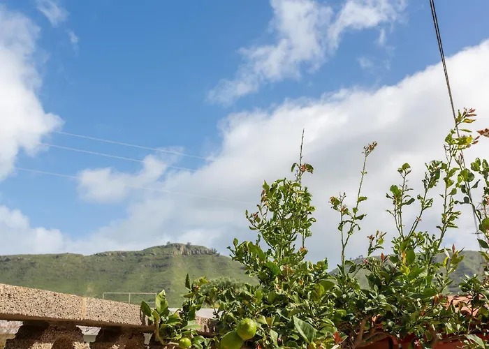 Moderno Lejlighed Tegueste