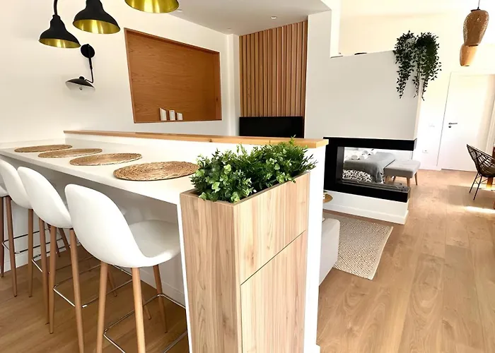 Moderno 特格斯特